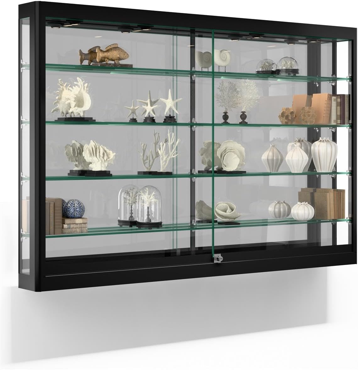 Wall Display Case